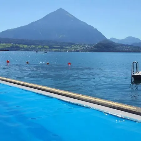 Chalet Swisshut Stunning Views Alps - Christina Merligen