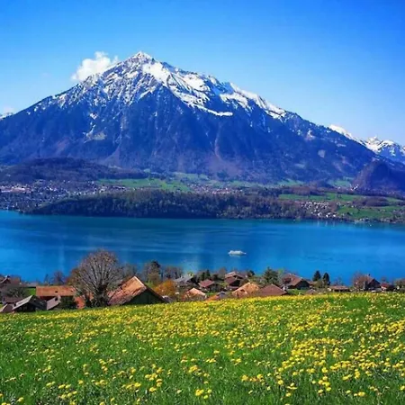 Lake Thun Alps Scenic Views And Concierge By Swisshut シャレー メルリゲン