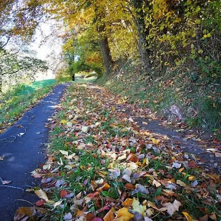 Alpesi faház Thun Alps Scenic Views And Concierge By Swisshut Merligen