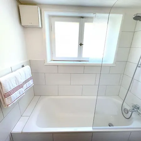 Thun Alps Scenic Views And Concierge By Swisshut *