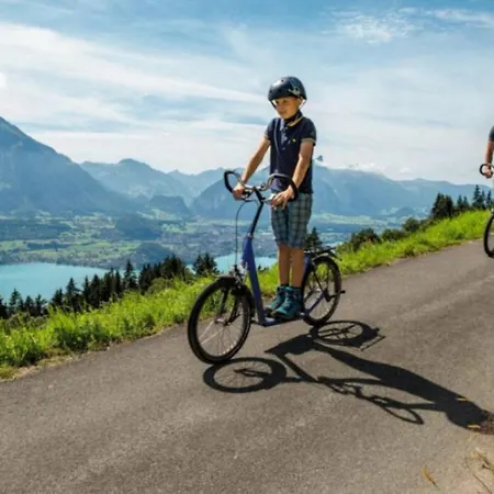 Concierge, Thun Alps Scenic Views By Swisshut Chalet Merligen