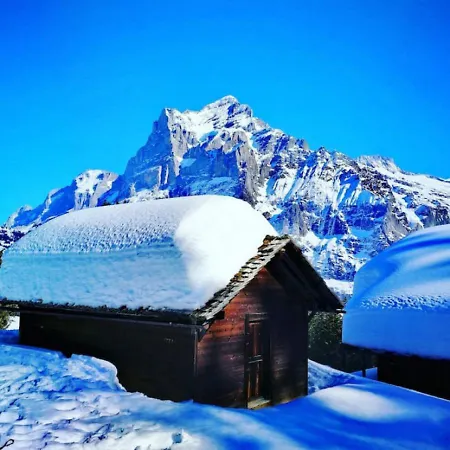Thun Alps Scenic Views And Concierge By Swisshut * Merligen