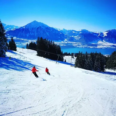 Thun Alps Scenic Views And Concierge By Swisshut Chalet Merligen